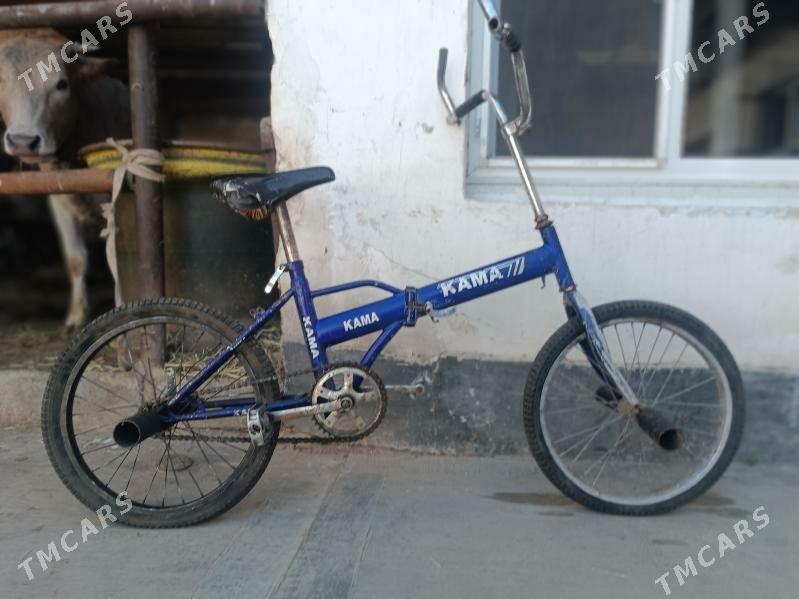 KAMA TIGIR - Хитровка - img 1