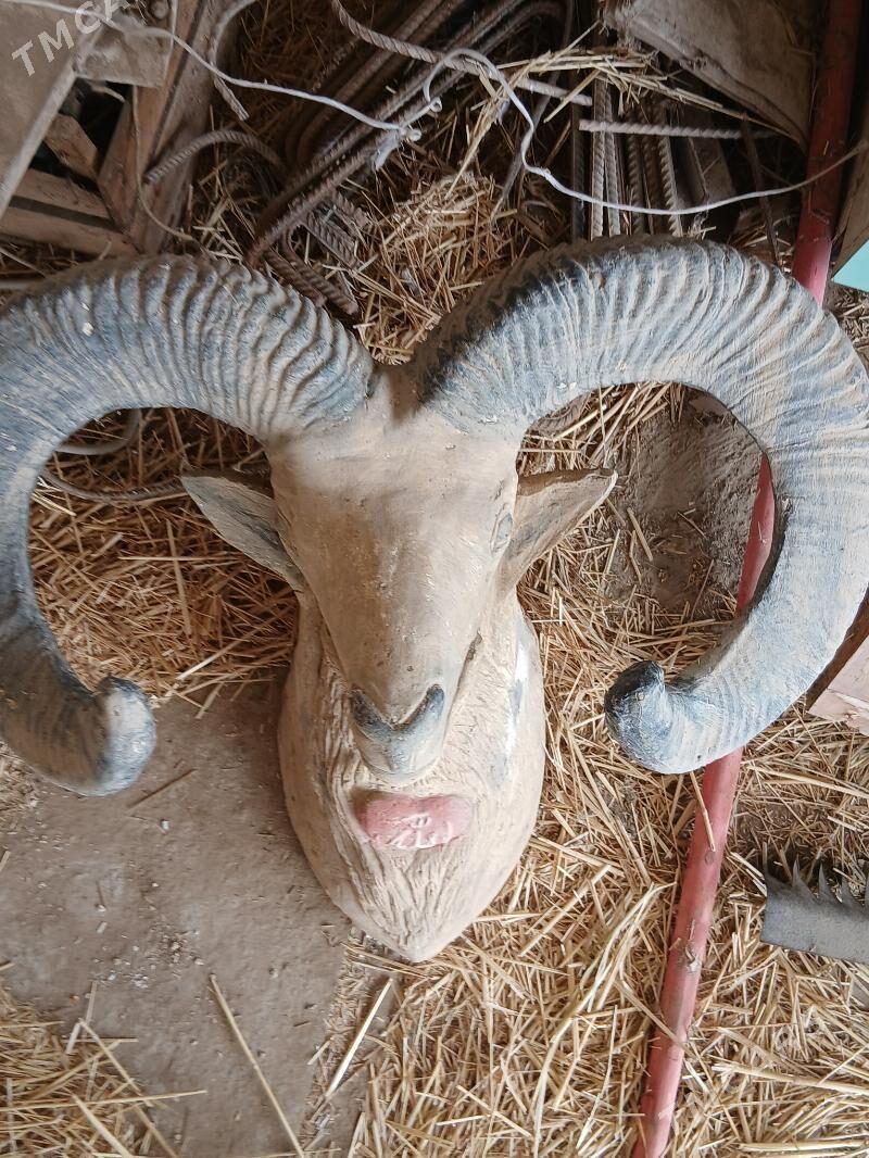 Hekel - Änew - img 1