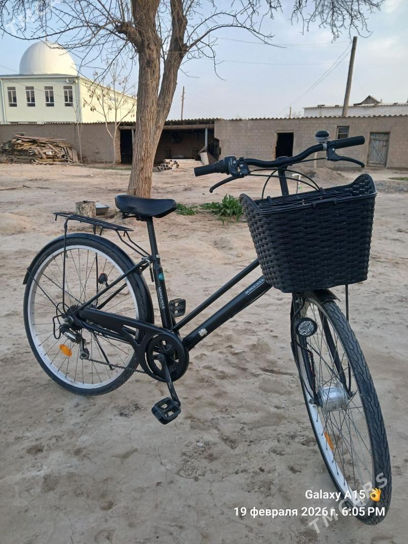 Tigir 26 wellik - Mary - img 1