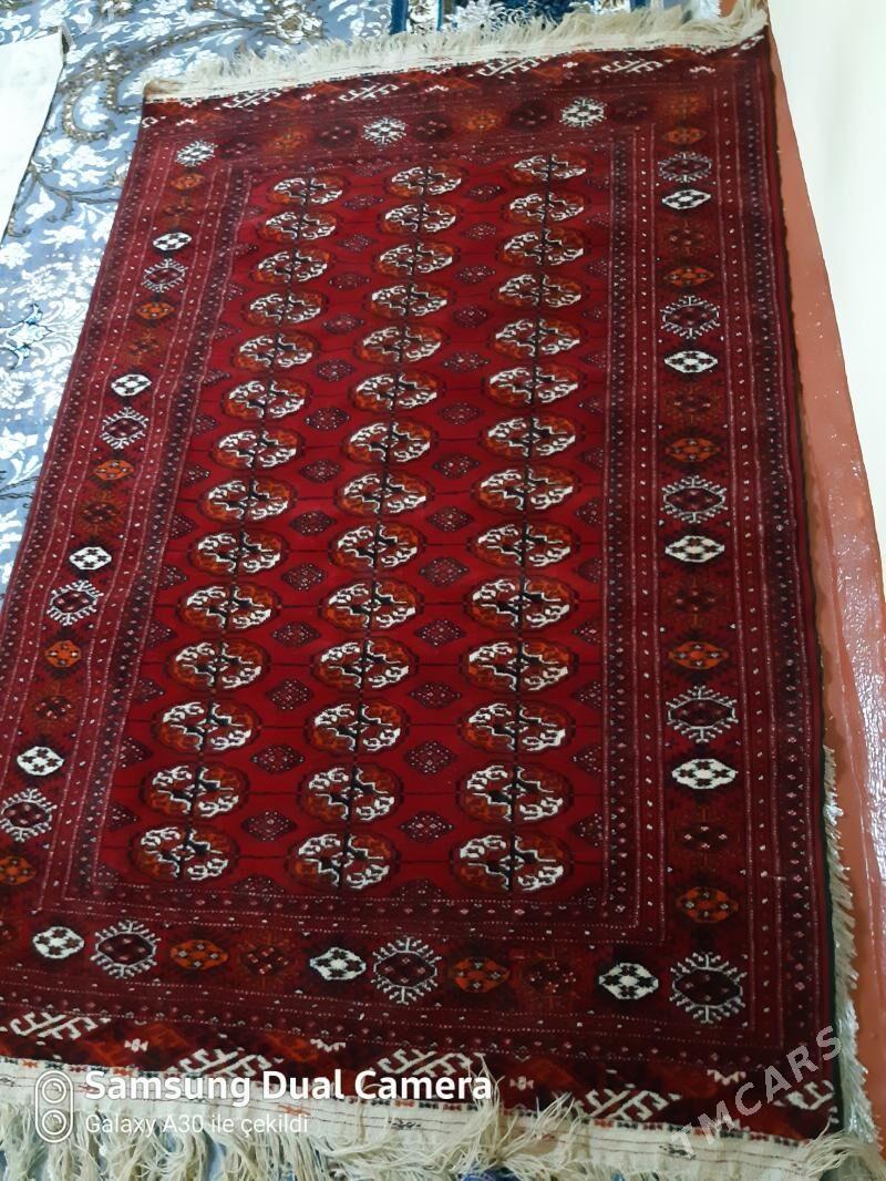 el haly - Бахарден - img 1