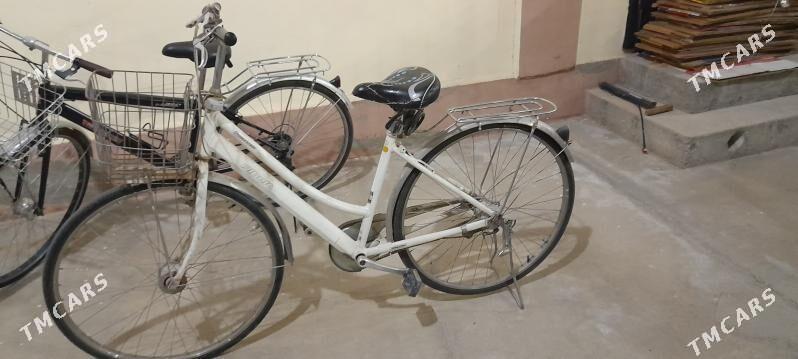 tigir - Кипджак - img 1