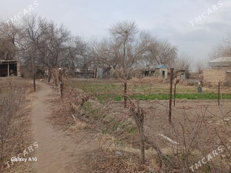 MELEK - Мары - img 1