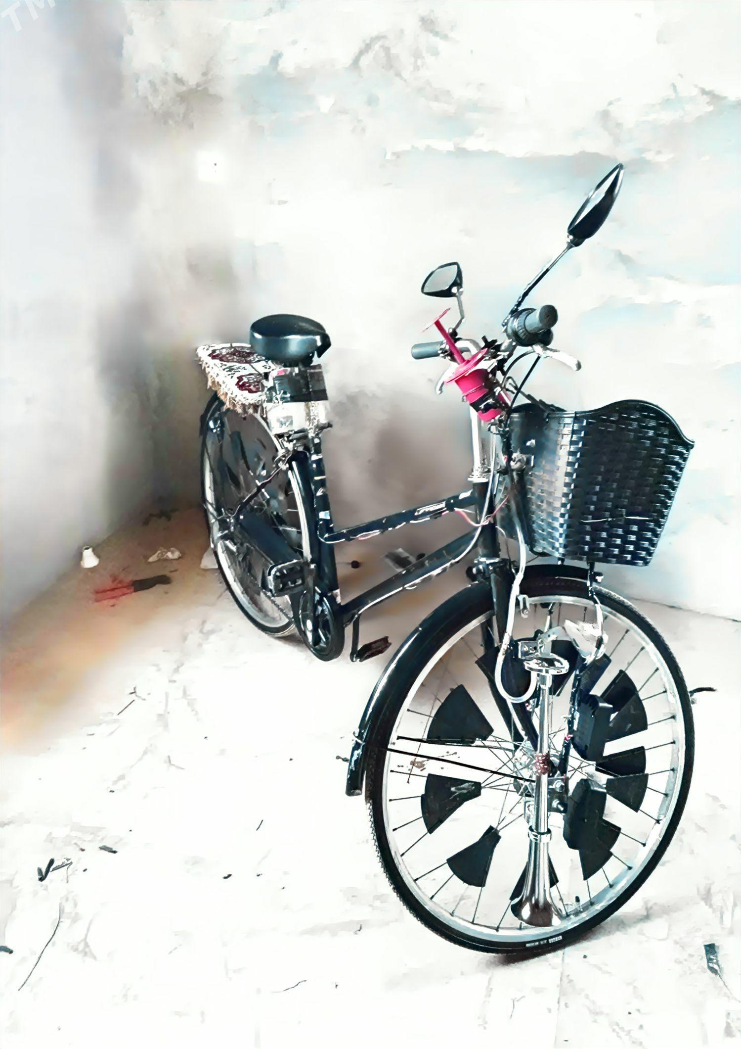 welsopet - Mary - img 1