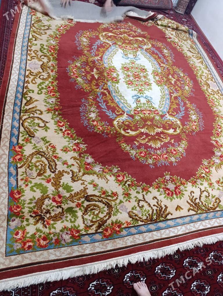 Haly - Parahat 7 - img 1