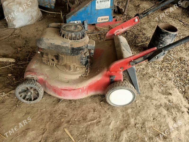 ot oryan kasilka - Туркменгала - img 1