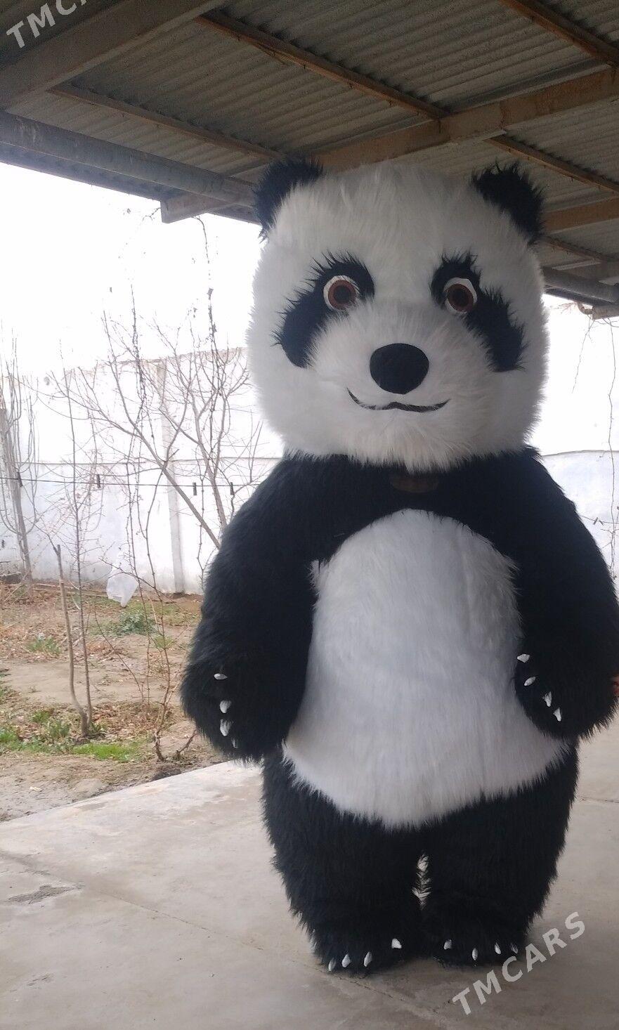 Myşga panda - Теджен - img 1