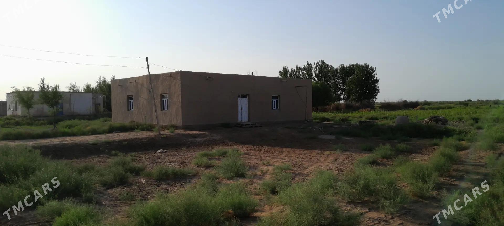 Satlyk jay - Рухубелентский этрап - img 1