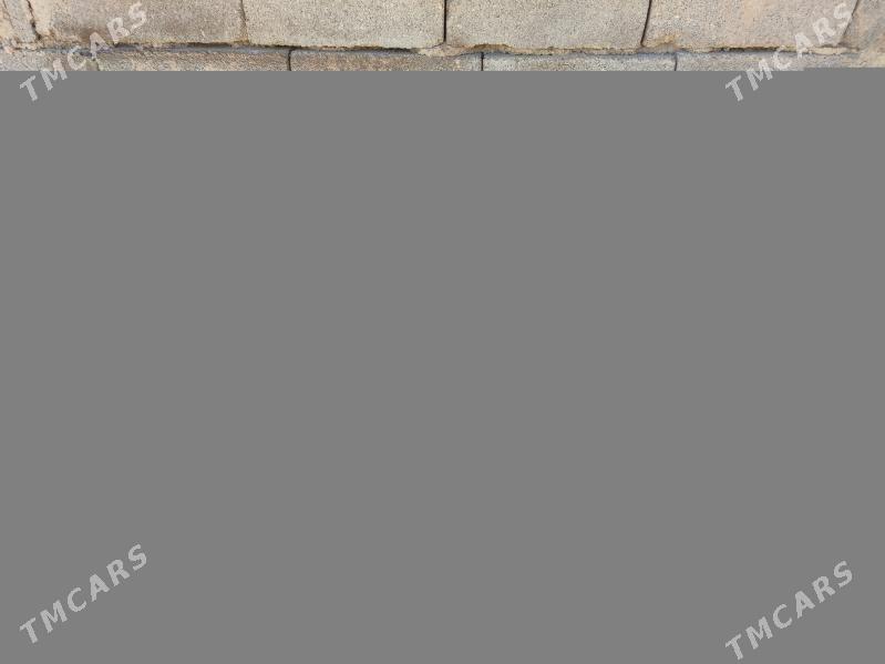 gapy agaç plastik дверь - Багир - img 1