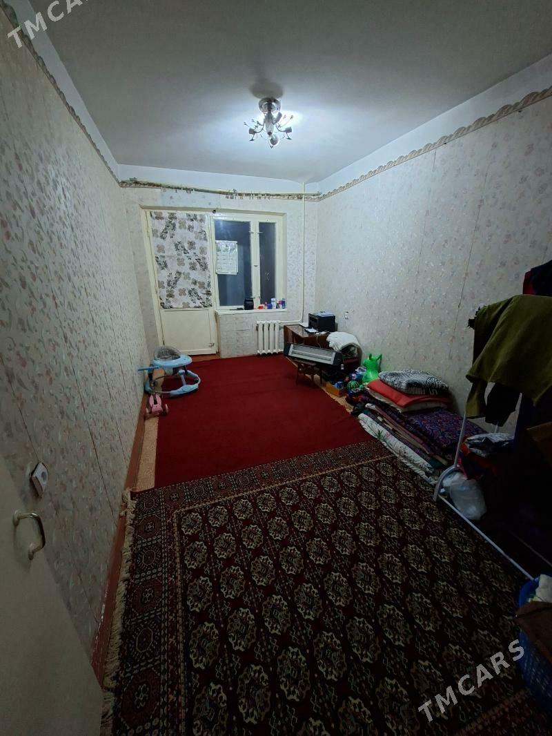 Satlyk jay - Mary - img 1