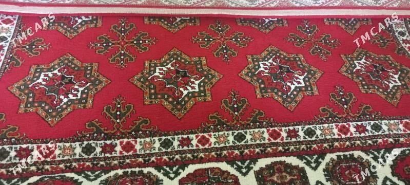 Haly - 11 mkr - img 1