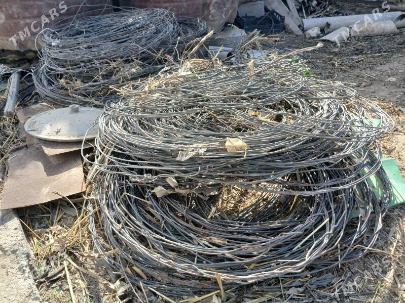 Üzüm sym - Бузмеин - img 1