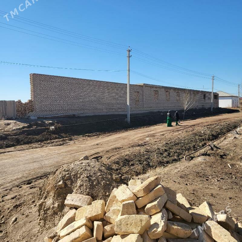 jay - Дашогуз - img 1