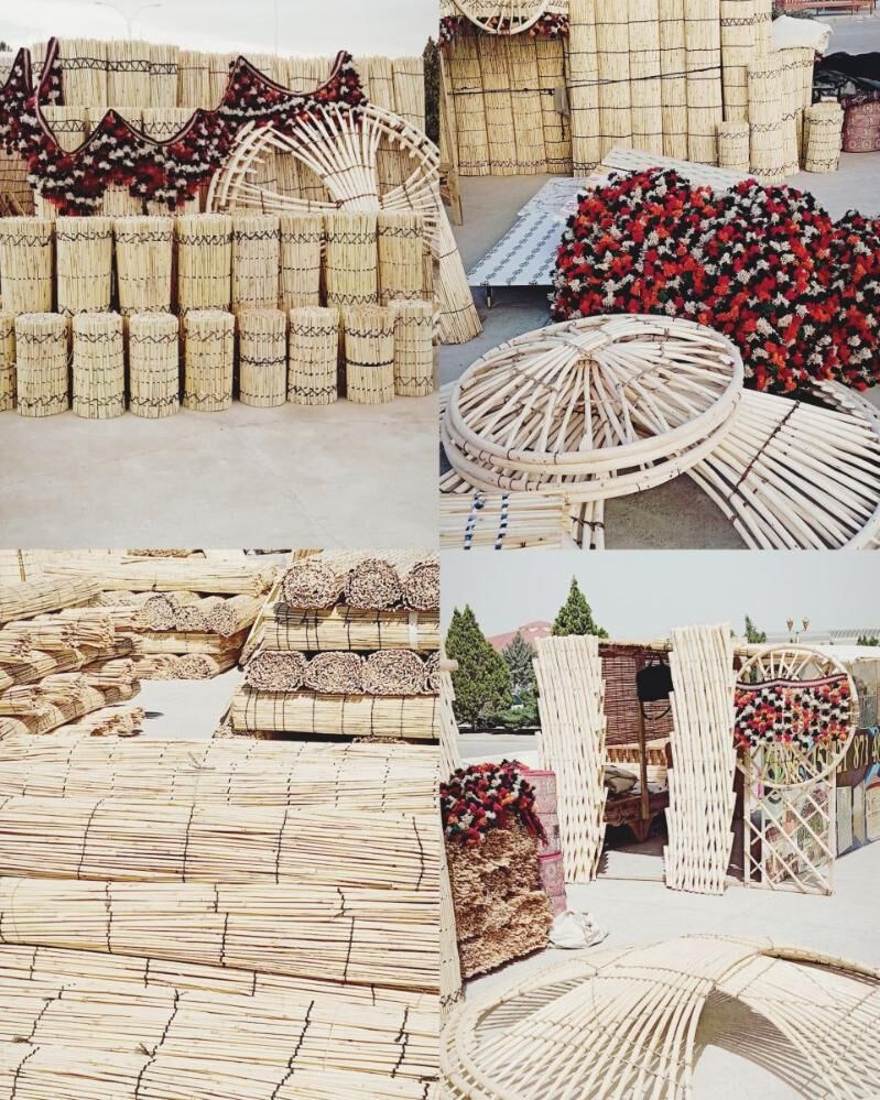 Gamyş AK öý Гамыш garöy Tüýnük - Täze zaman - img 1