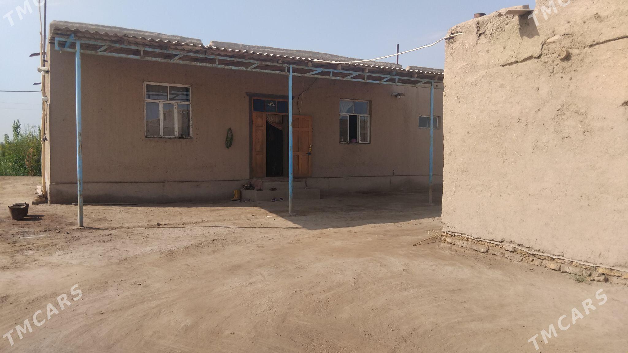 satlyk jaÿ - Губадаг - img 1