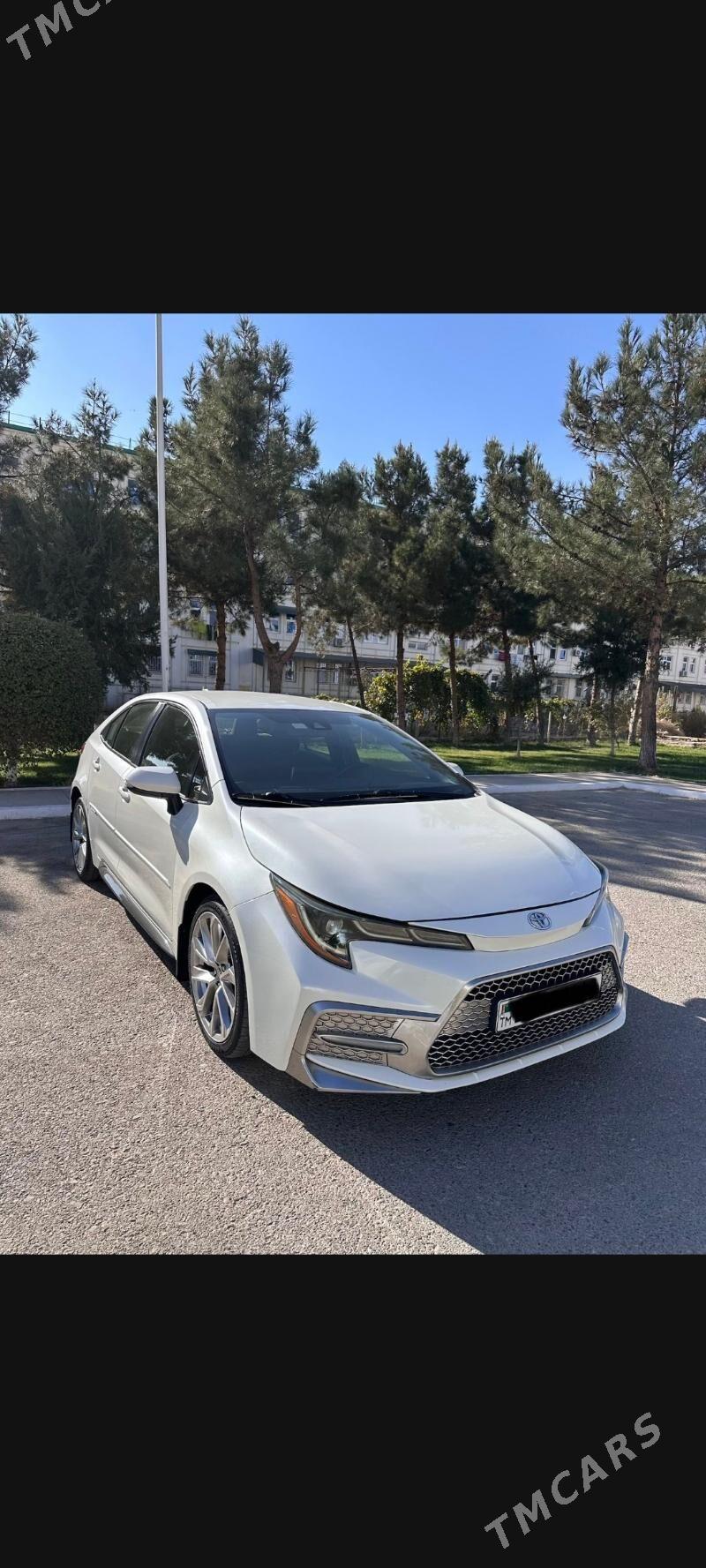 Toyota Corolla 2020 - 300 000 TMT - Туркменабат - img 1