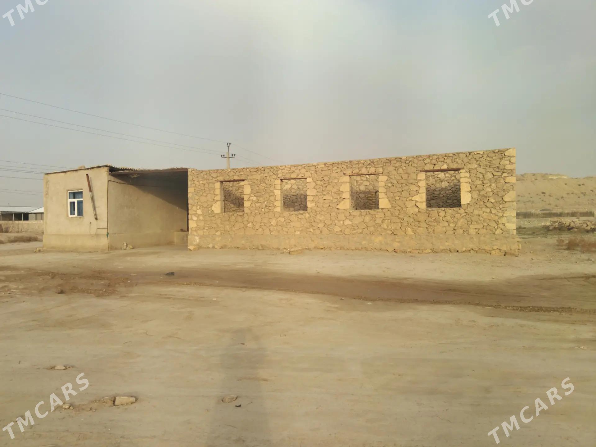 satlyk jay - Достлук - img 1