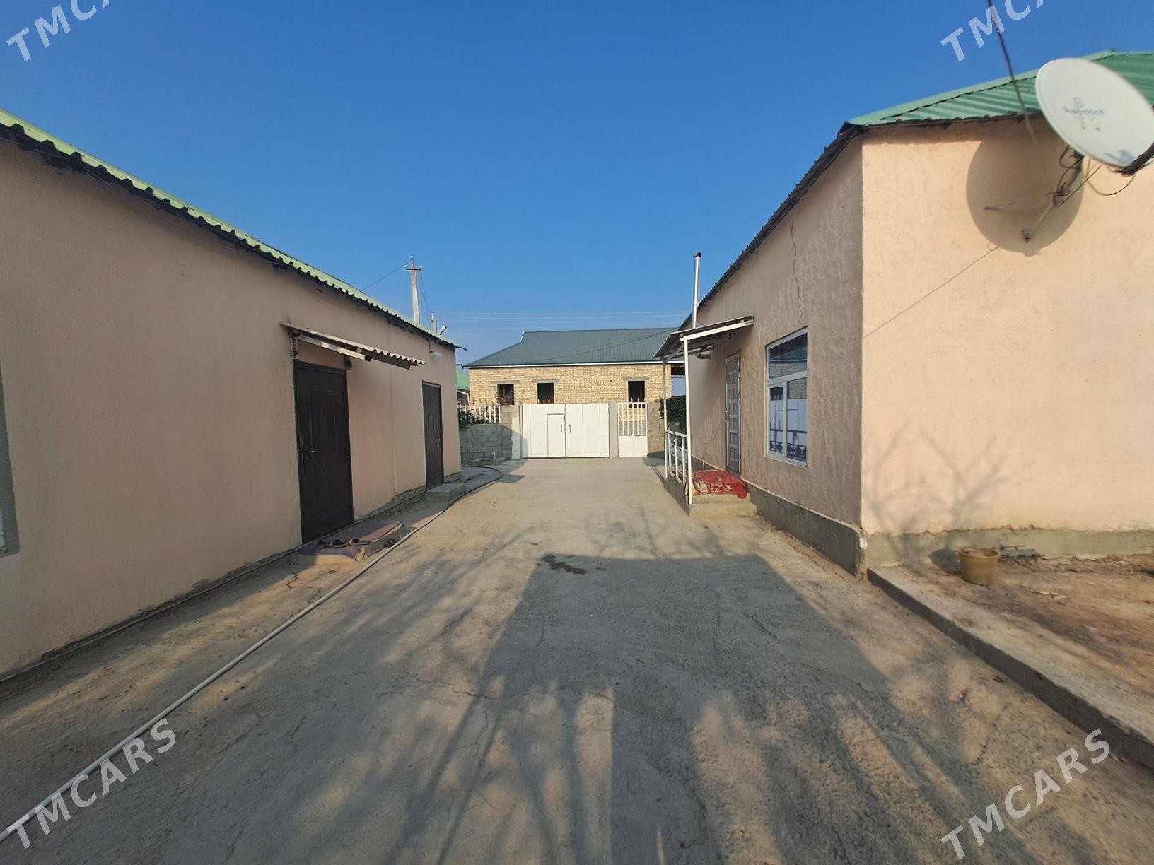 Bagyr - Багир - img 1