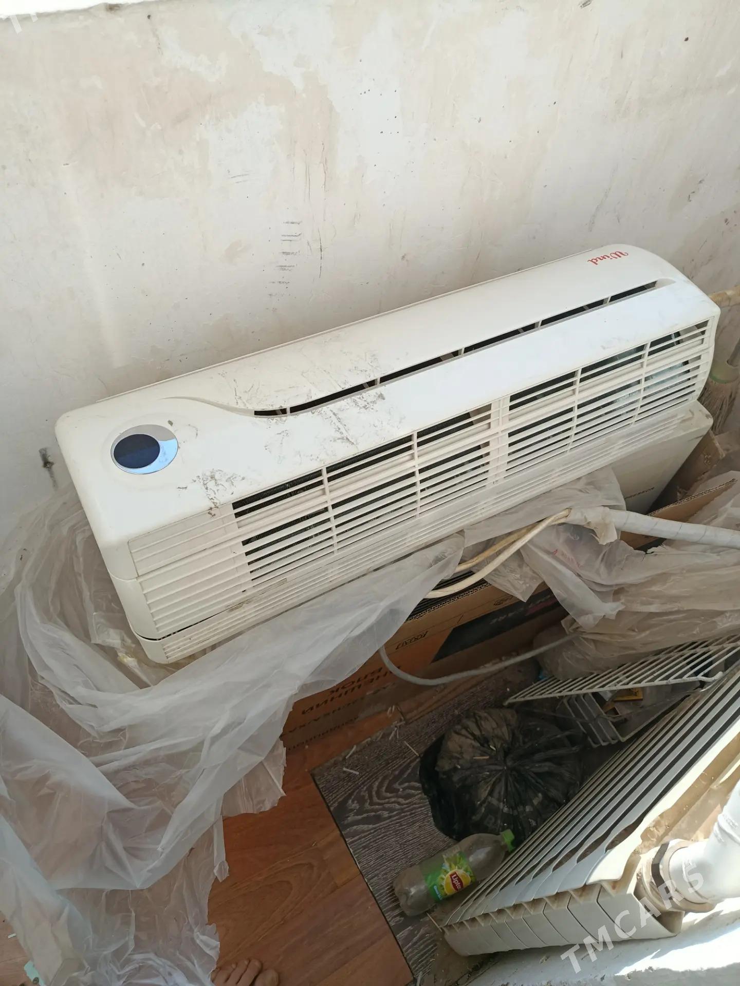 Willd - Ашхабад - img 1