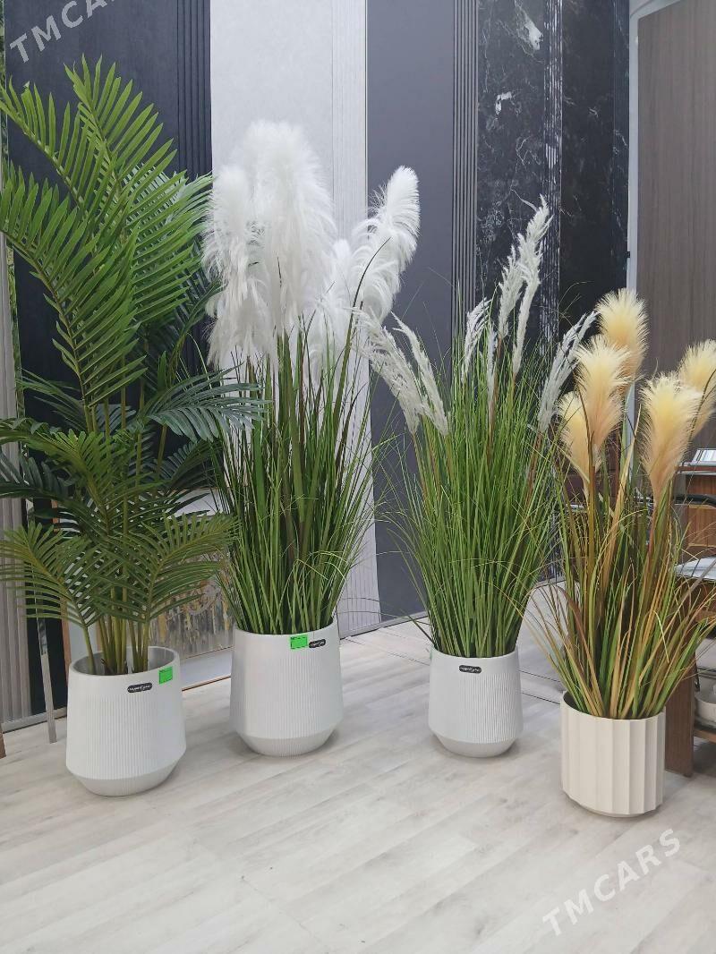 Baglar - Ашхабад - img 1