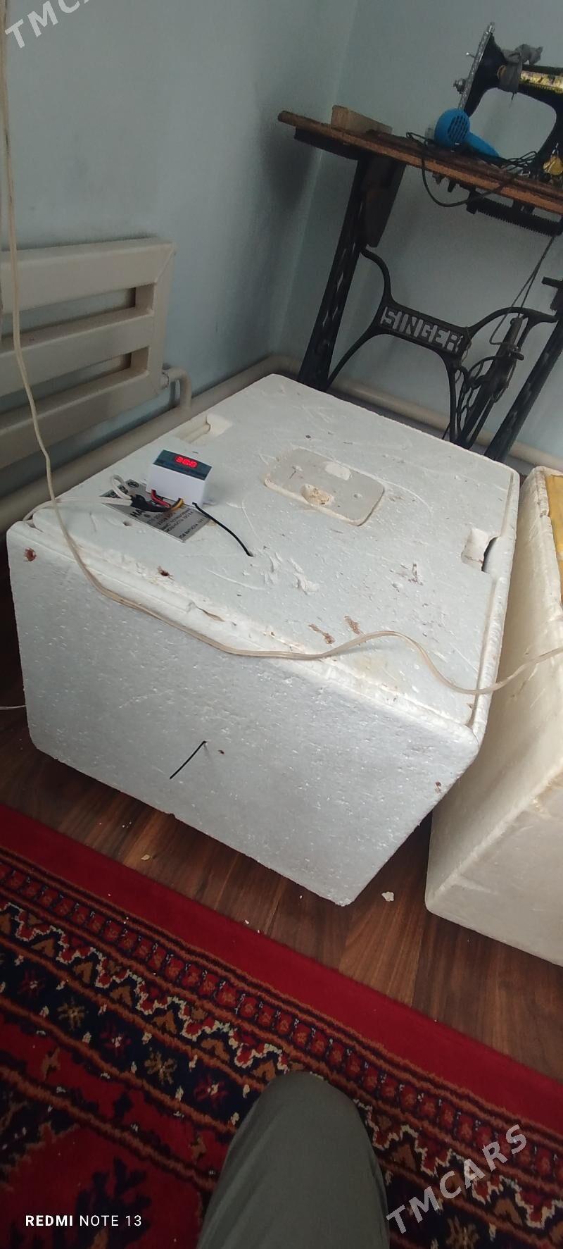 inkubator - Gökdepe - img 1