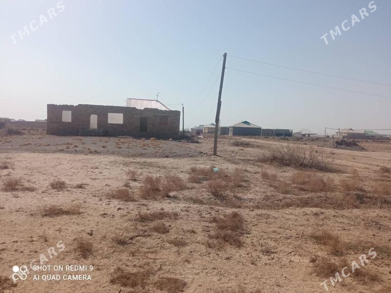 Jay - Койтендаг - img 1