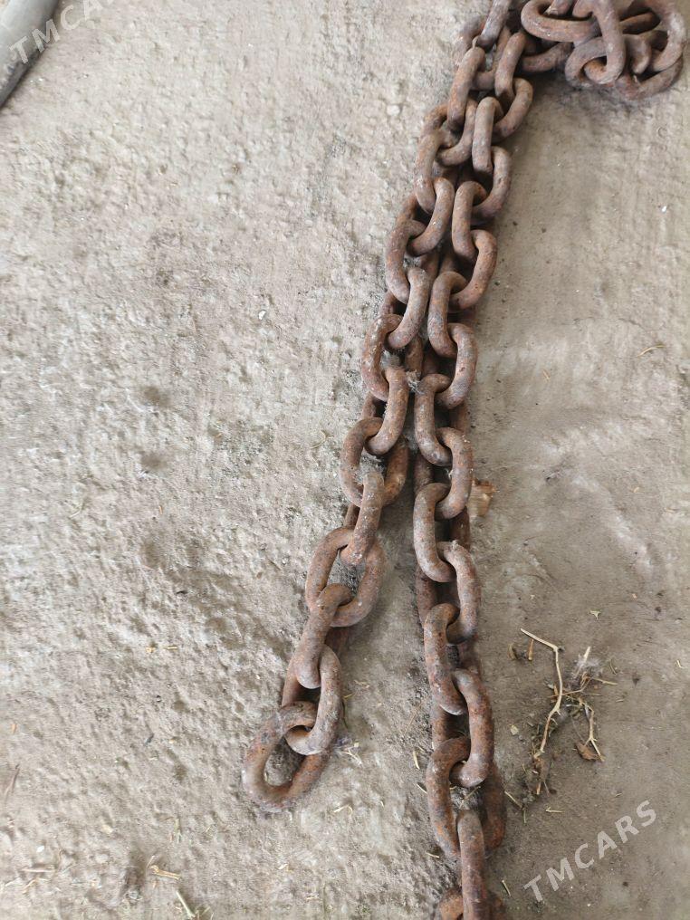 zynjyr - Багир - img 1