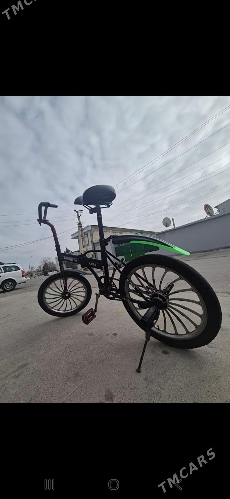 tigir - Bagyr - img 1