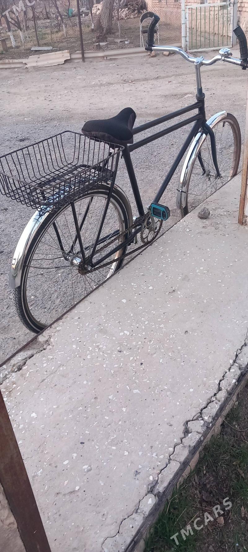 tigir - Gyzylarbat - img 1