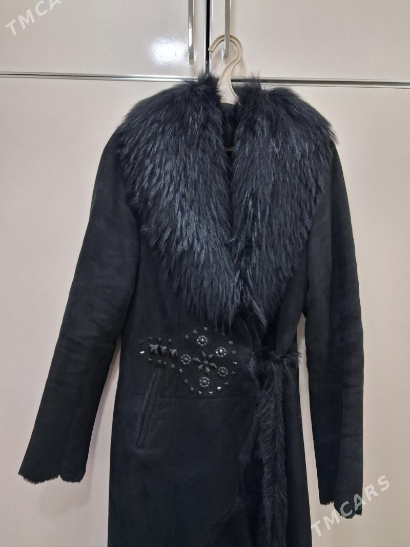 dyblyonka - Ашхабад - img 1