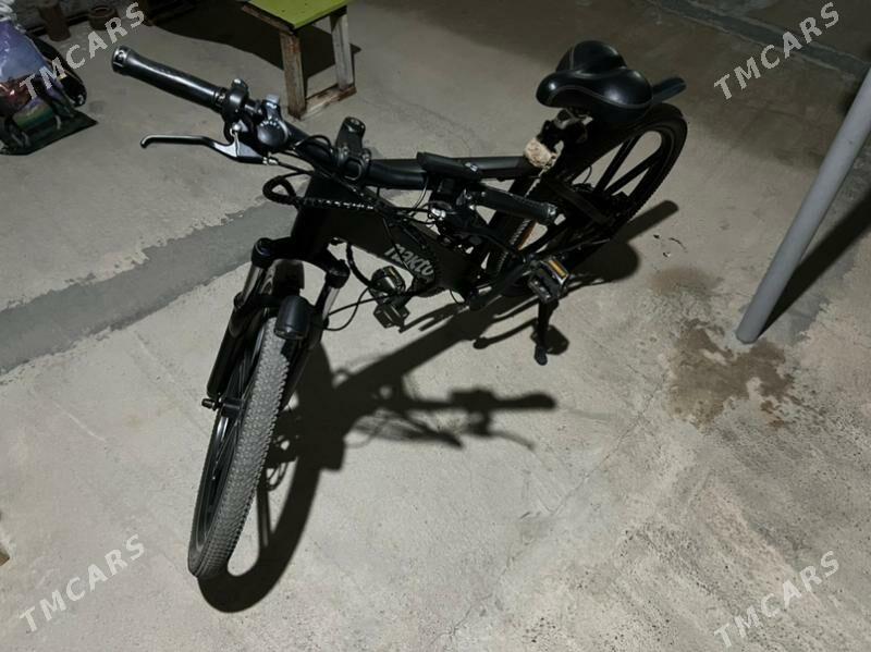 tokly tigir - Гарадамак Шор - img 1