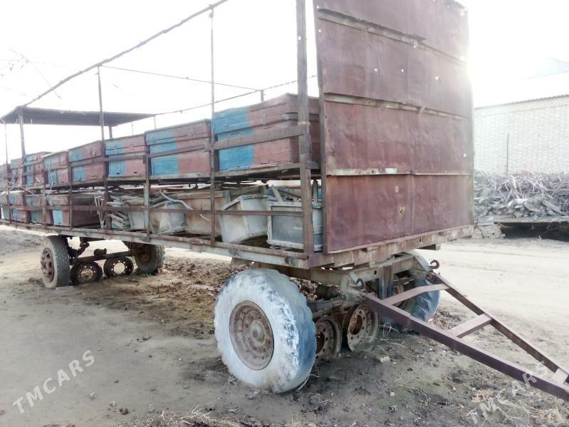 ary telesge - Сакарчага - img 1