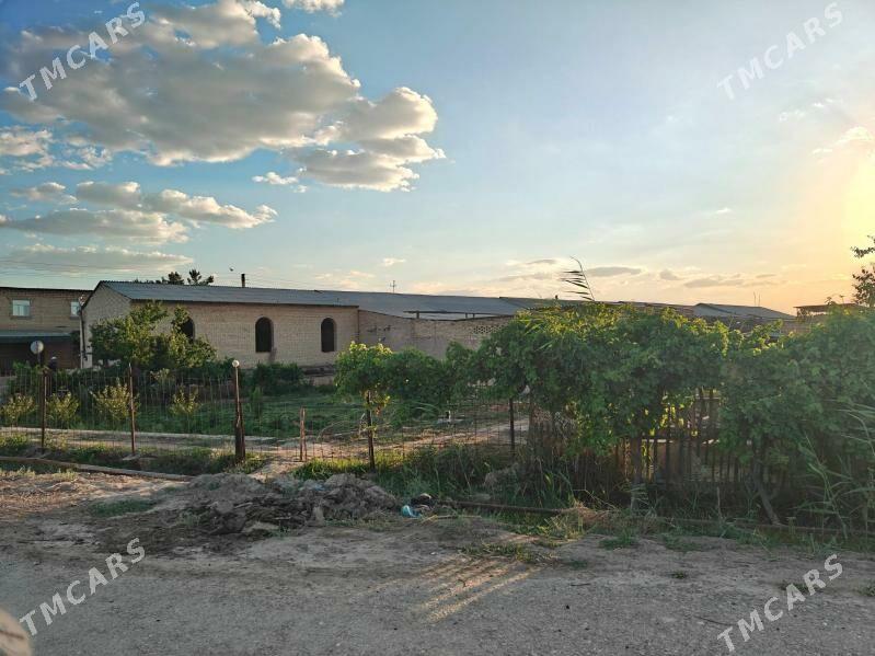 satlyk jay denow - Дянев - img 1