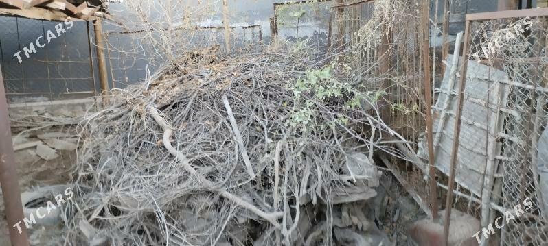 odun - Wekilbazar - img 1