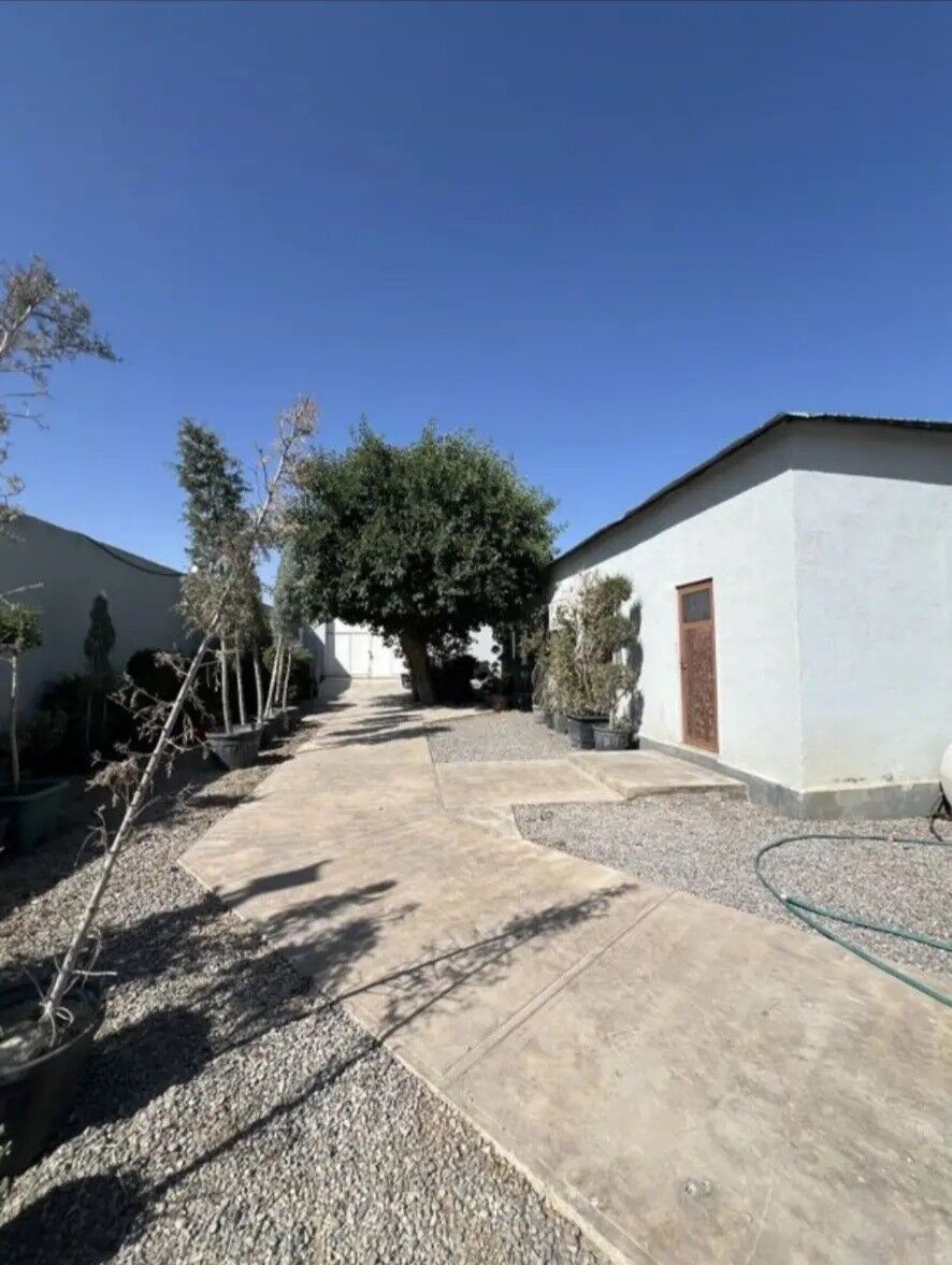 Bagyr Mirewe 8sotok arzan - Ашхабад - img 1