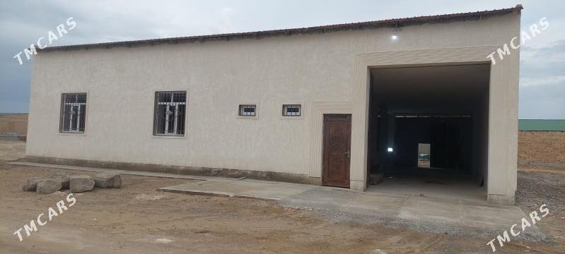 MELLEK JAŸ - Türkmenabat - img 1