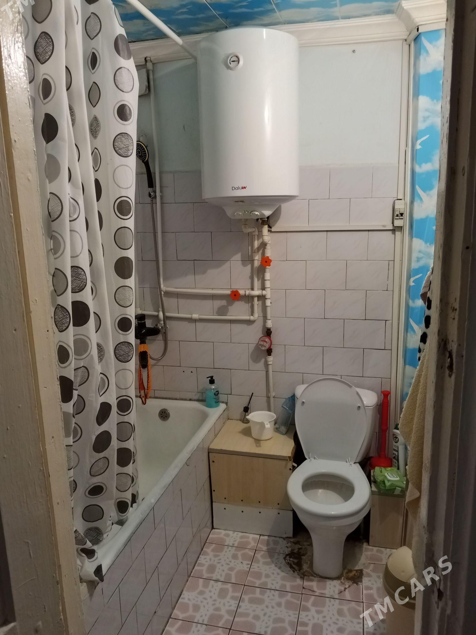 Satlyk jay - Мары - img 1