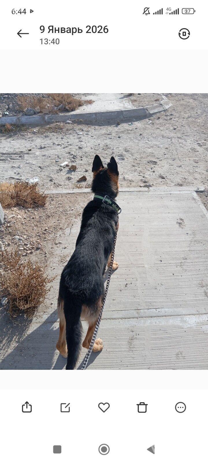 OWCHARKA REKS - Balkanabat - img 1