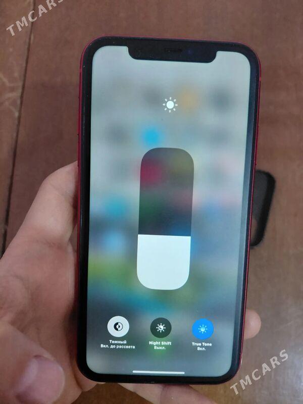 iPhone 11 - Daşoguz - img 1