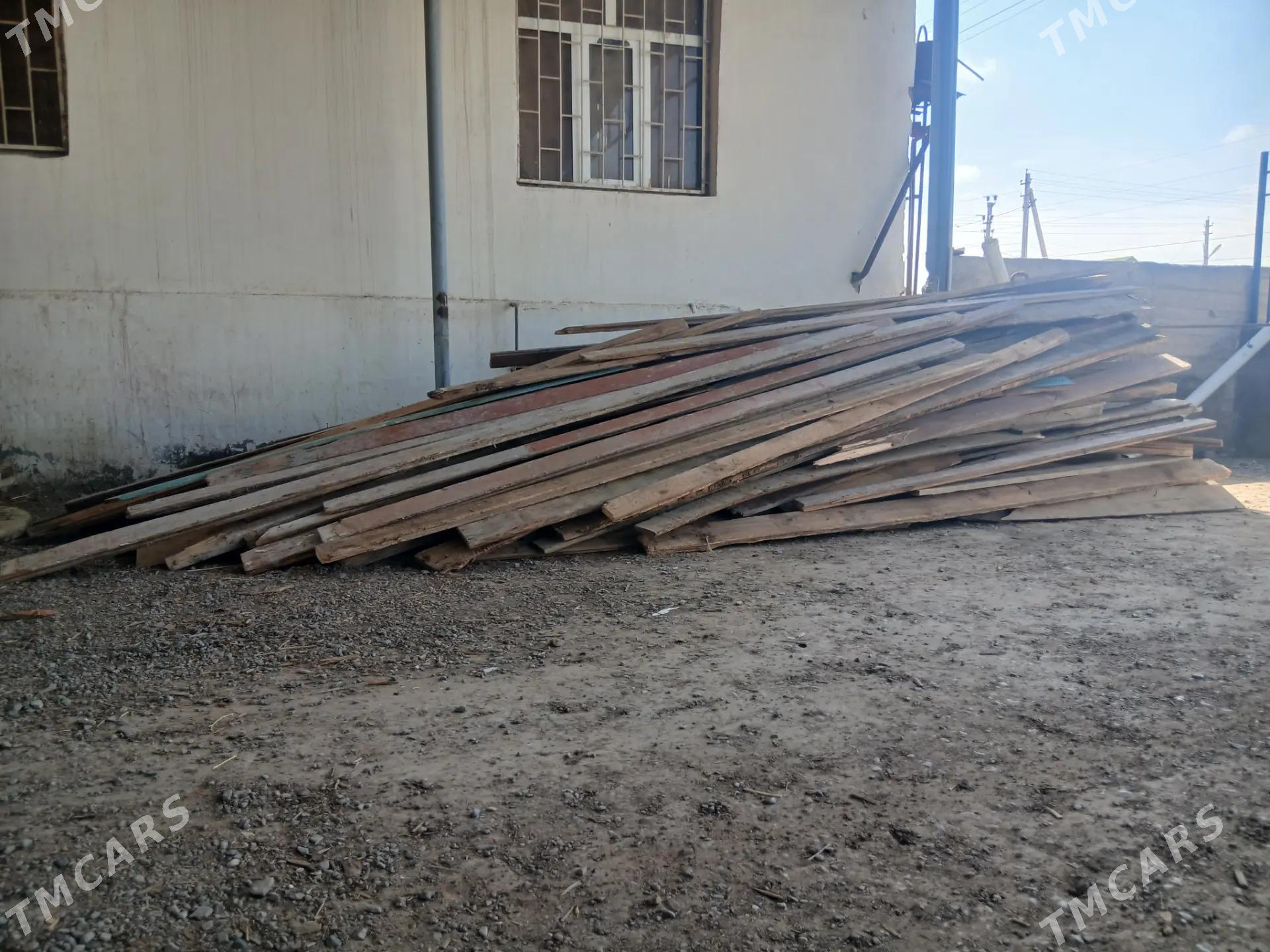 agac pol - Änew - img 1