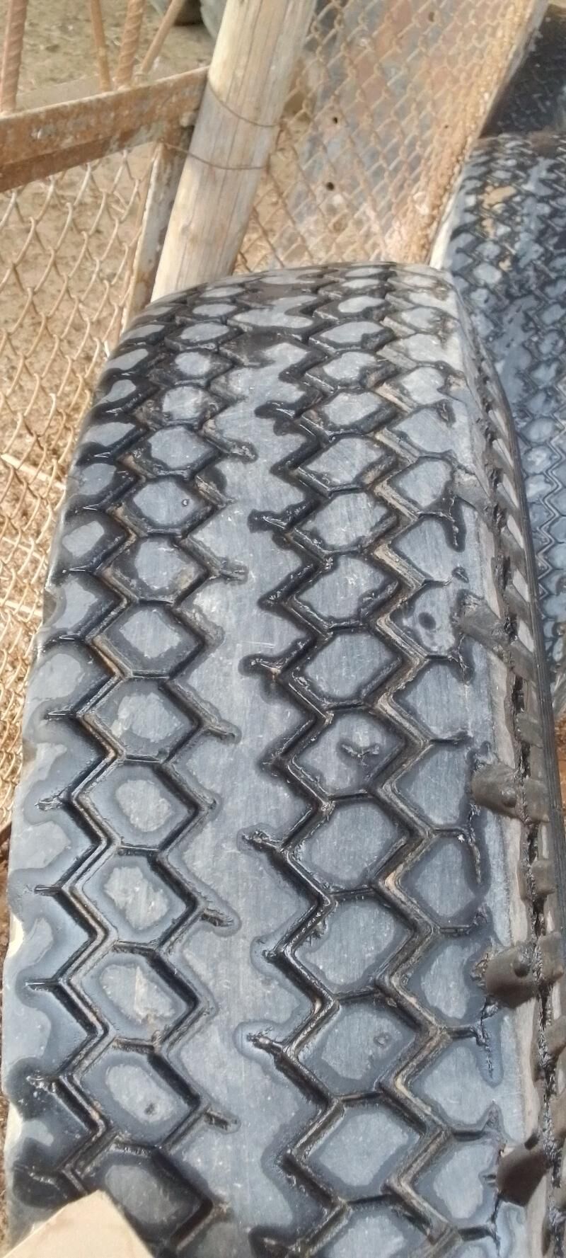 Tekerler 600 TMT - Sakarçäge - img 1