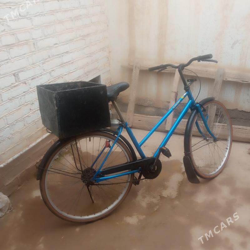 welik - Tejen - img 1