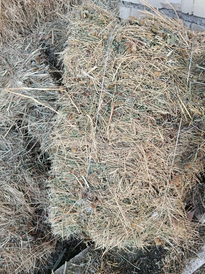 bedebede - Кака - img 1