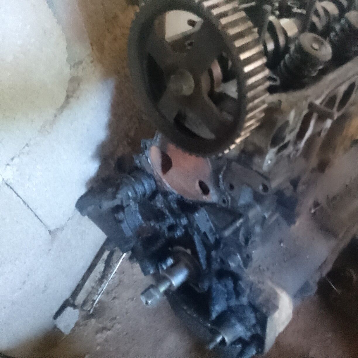 18 mator şaryot 2 000 TMT - Bereket - img 1