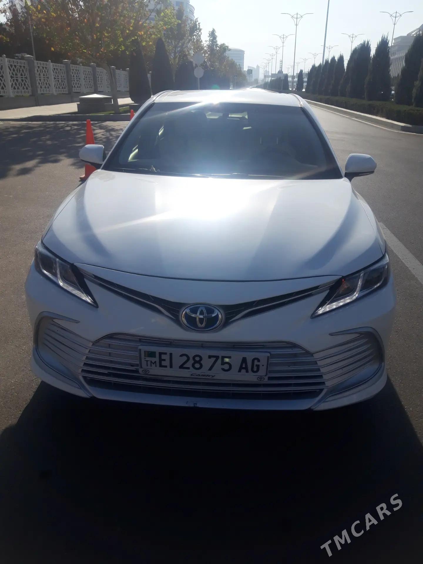 ищу работу водитель - Aşgabat - img 1