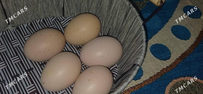 юмуртга,жуйже - Гызыларбат - img 1