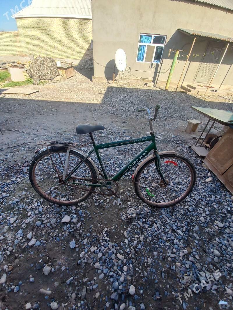 tigir ural - Tejen - img 1