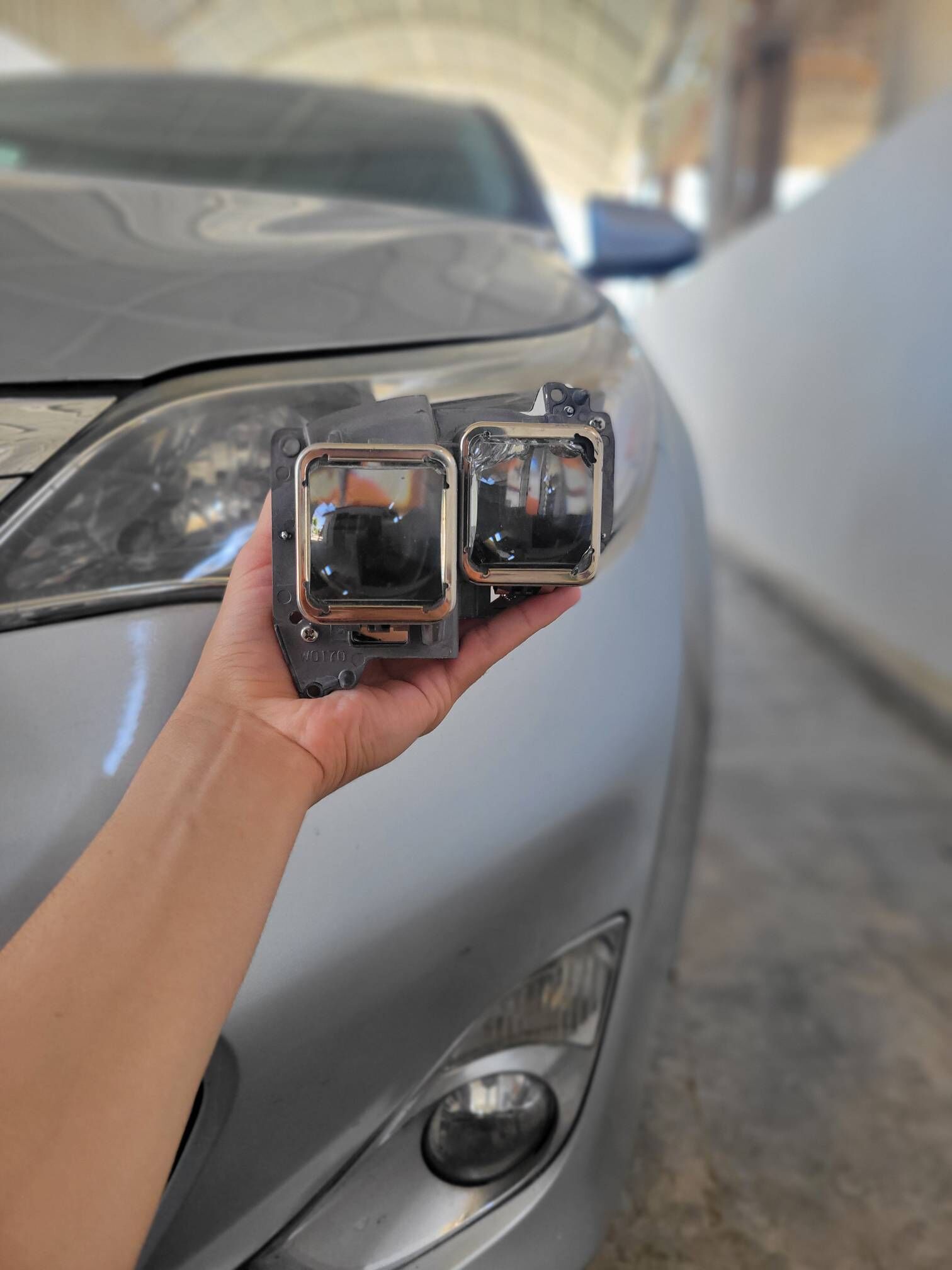 lupa avalon 2013-2017 300 TMT - Mary - img 1