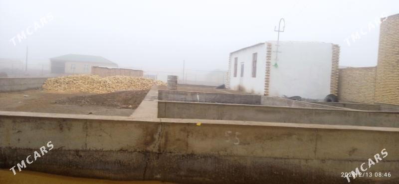 Zerger bazar yanda - Türkmenabat - img 1