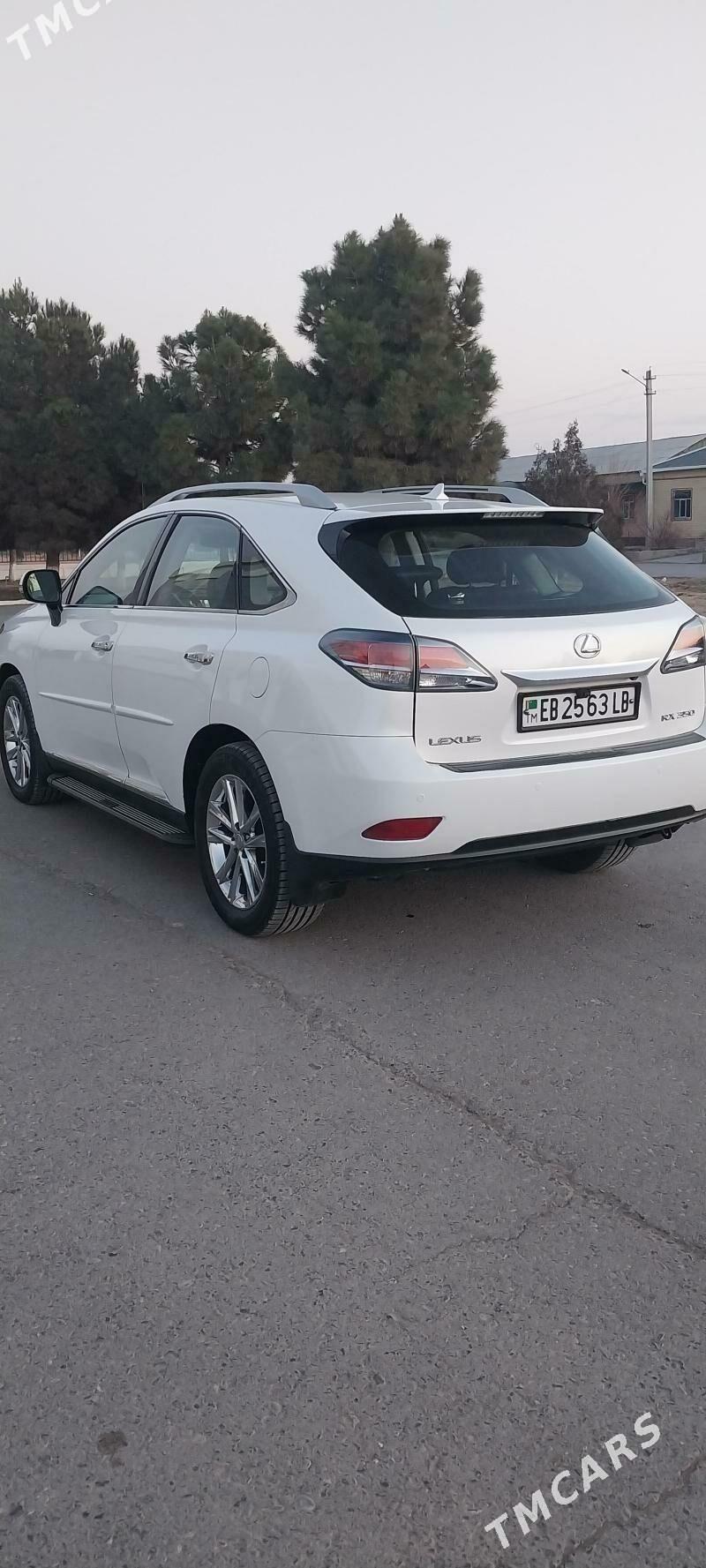 Lexus RX 350 2013 - 410 000 TMT - Türkmenabat - img 1