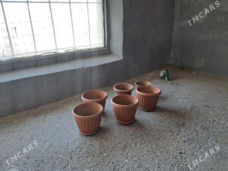 gul gorsok - Ашхабад - img 1